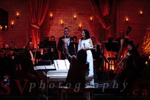 Twilight Symphony at the Castle