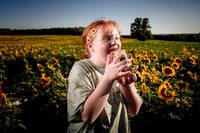 Davis Family Farm
