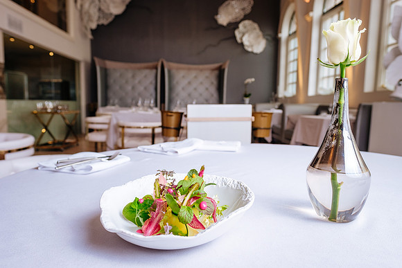 Don Alfonso 1890 Toronto