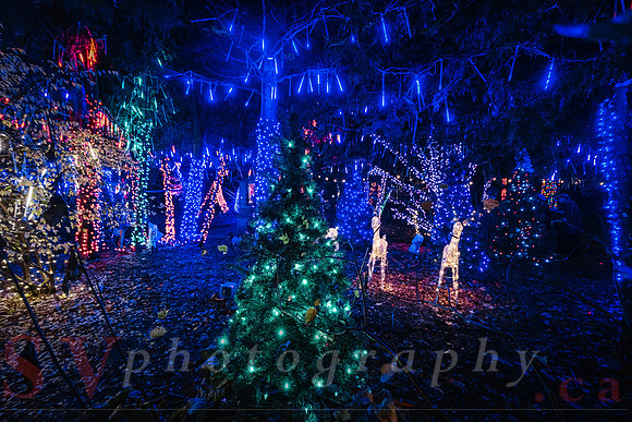 Christmas At The Castle with Holiday Lights