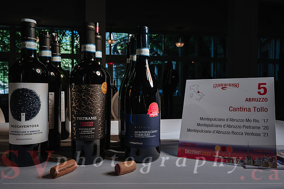 Best of Italy - Wine Tasting Event