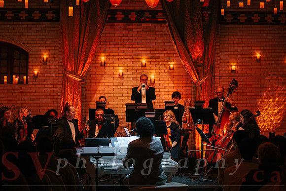 TWILIGHT SYMPHONY AT THE CASTLE