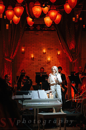 TWILIGHT SYMPHONY AT THE CASTLE