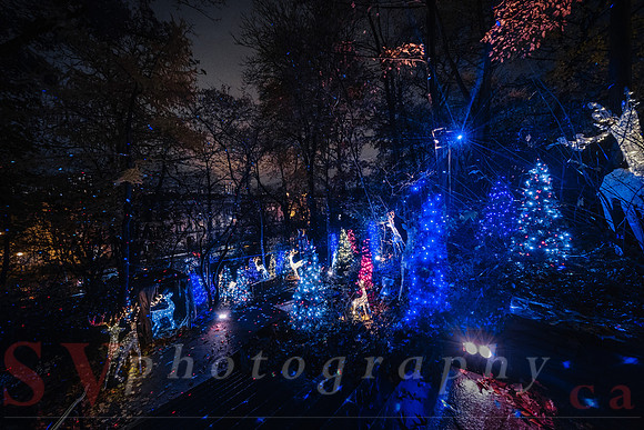 Christmas At The Castle with Holiday Lights