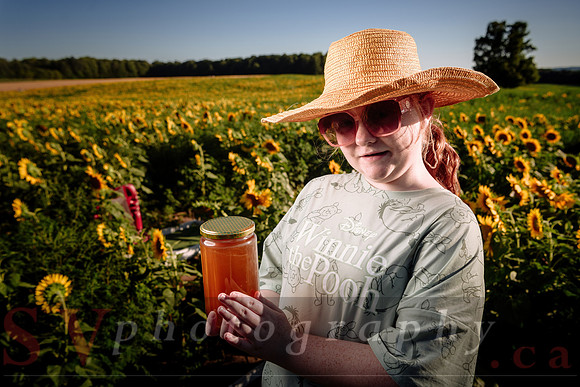 Davis Family Farm