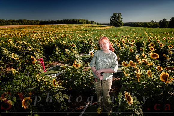 Davis Family Farm