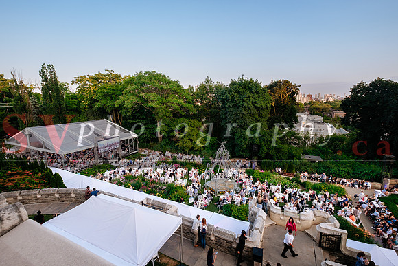 Symphony In The Gardens