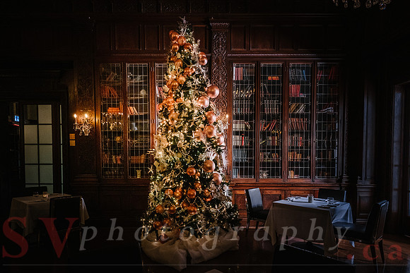 Christmas At The Castle with Holiday Lights