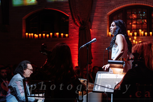 Twilight Symphony at the Castle