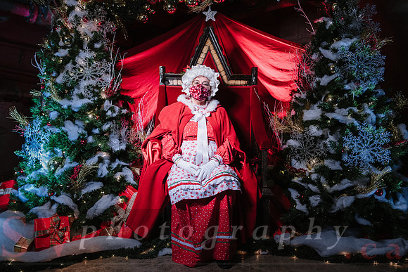 Christmas At The Castle with Holiday Lights