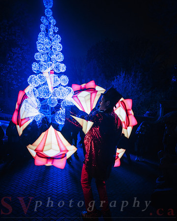 Christmas At The Castle with Holiday Lights