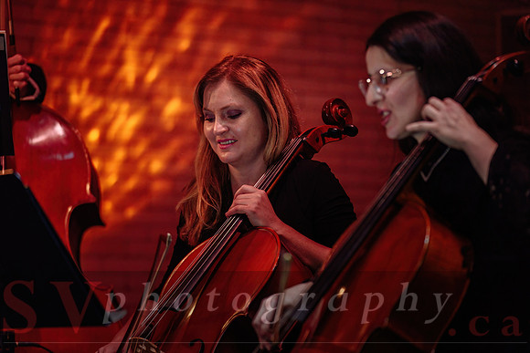 Twilight Symphony at the Castle