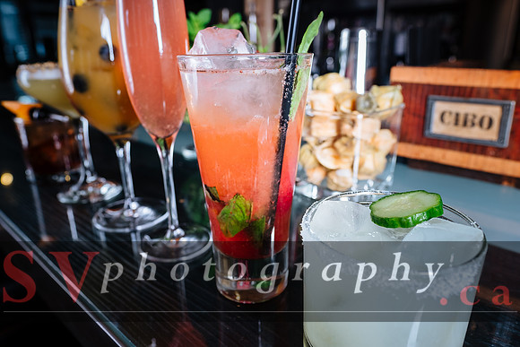 Cibo Wine Bar King St West