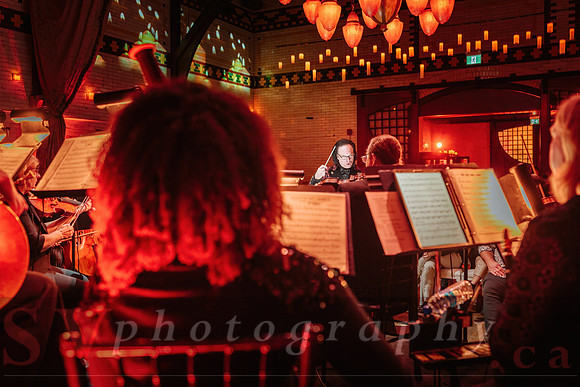 TWILIGHT SYMPHONY AT THE CASTLE