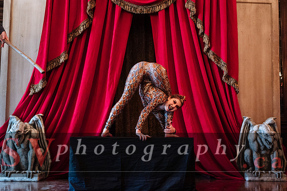 Casa Loma - March Break: Imagine Dragons