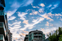 Summer at Humber Bay