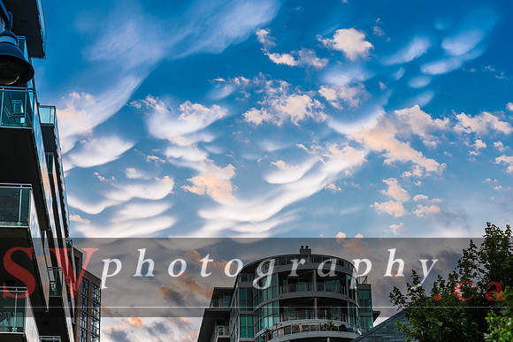 Summer at Humber Bay