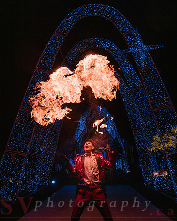 Christmas At The Castle with Holiday Lights