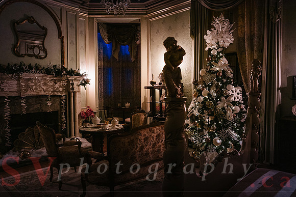 Christmas At The Castle with Holiday Lights