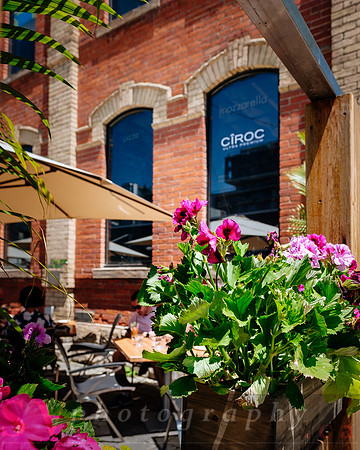 CIBO