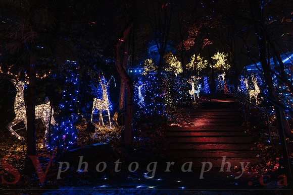 Christmas At The Castle with Holiday Lights
