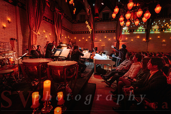TWILIGHT SYMPHONY AT THE CASTLE