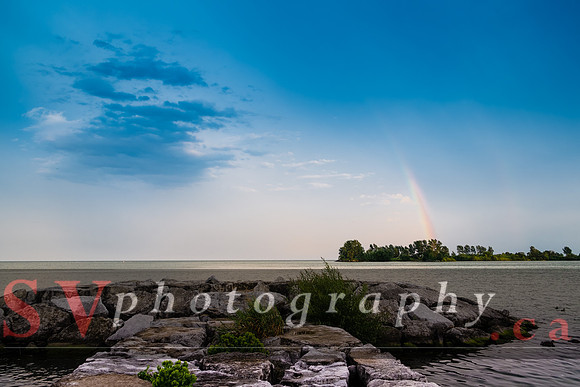 Summer at Humber Bay
