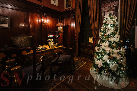 Christmas At The Castle with Holiday Lights