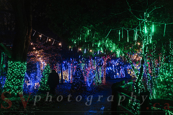 Christmas At The Castle with Holiday Lights