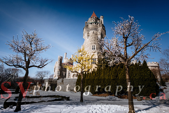 Casa Loma - March Break: Imagine Dragons