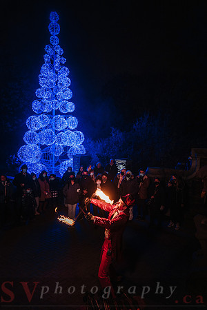 Christmas At The Castle with Holiday Lights