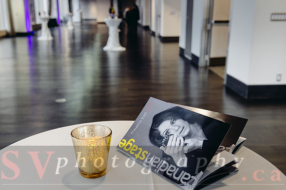 2015 Canadian Stage Theatre Ball at the Arcadian Court