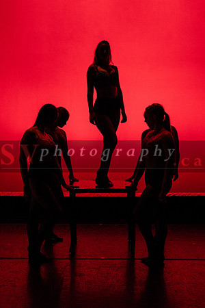 Next Stage Show