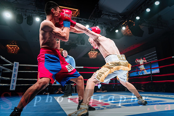 Shaw Boxing 2022