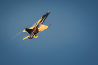 CFB Borden Airshow