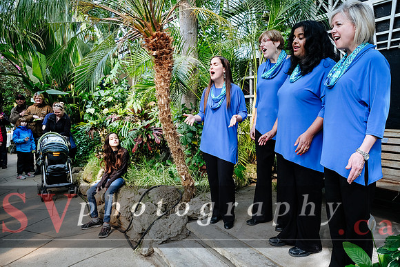 Centennial Park Conservatory - Easter Show