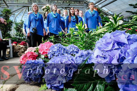 Centennial Park Conservatory - Easter Show