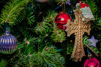 Centennial Park Conservatory