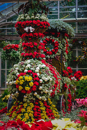 Centennial Park Conservatory