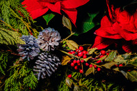 Centennial Park Conservatory