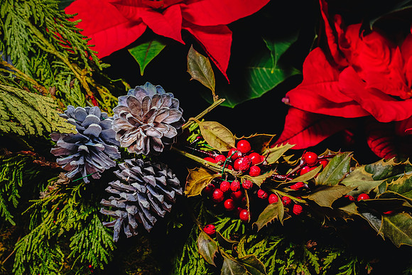 Centennial Park Conservatory