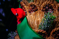 Centennial Park Conservatory