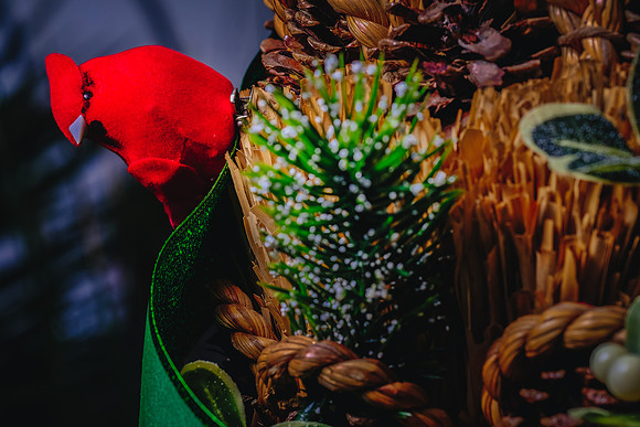 Centennial Park Conservatory