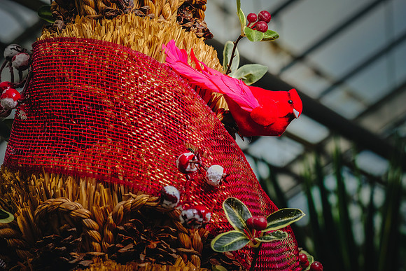 Centennial Park Conservatory