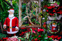 2016 Centennial Park Greenhouse