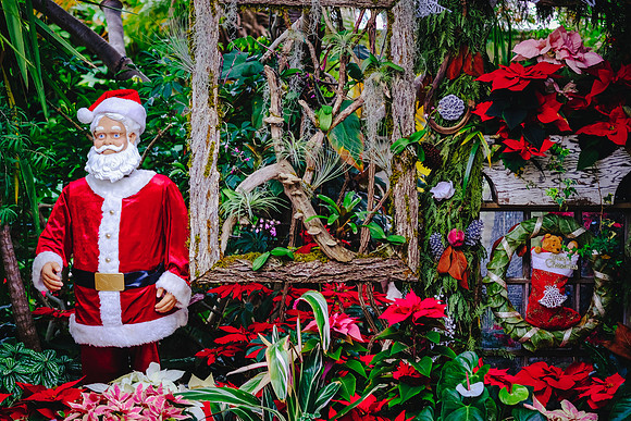 Centennial Park Conservatory