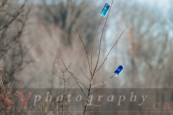Winter Birding