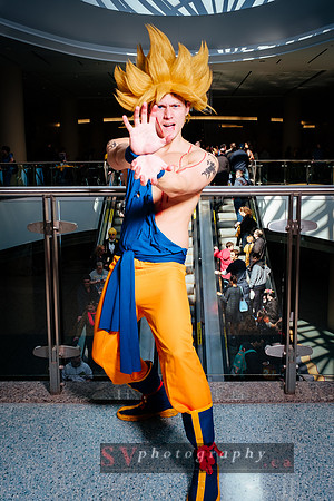 Toronto ComiCon