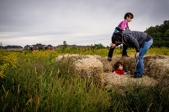 McVean Farm Picnic