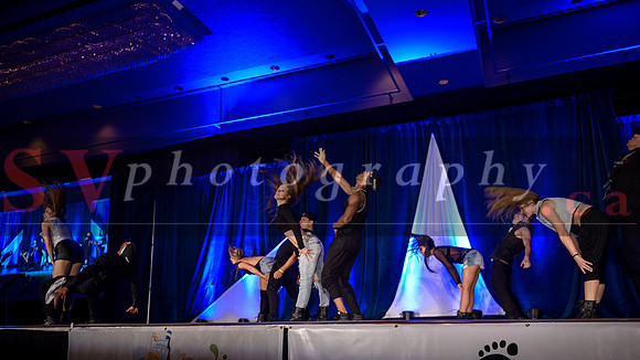 Cadence Pro/Fusion from Toronto